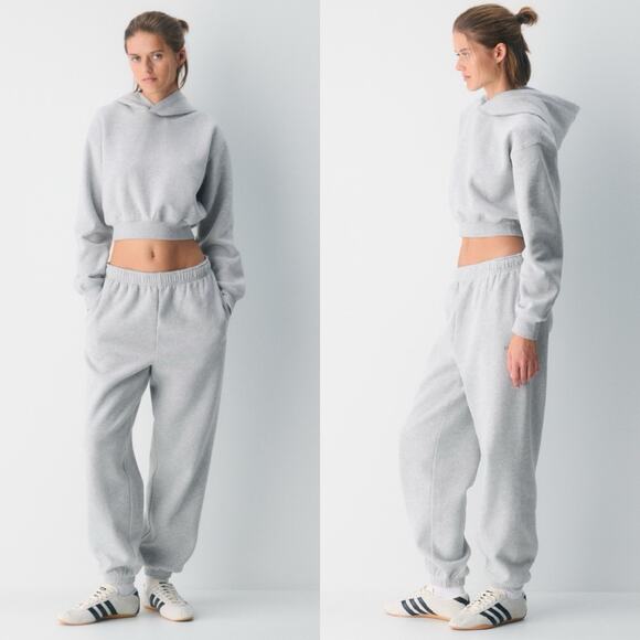 Aritzia Sweatfleece Mega Fit Sweatpants Joggers Size XS Gray Gorpcore Y2K Skater - Picture 1 of 10
